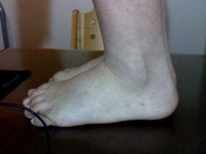 男生的脚丫子图片,揭秘男生脚丫子的独特魅力